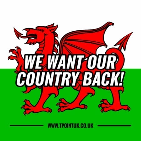 Welsh 'We Want Our Country Back' colour stickers: 48 for £15